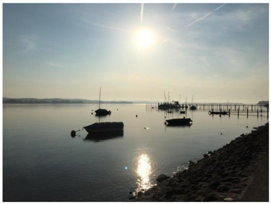 Ferienwohnung Bodensee Nenzingen Hegau Orsingen-Nenzingen Екстер'єр фото